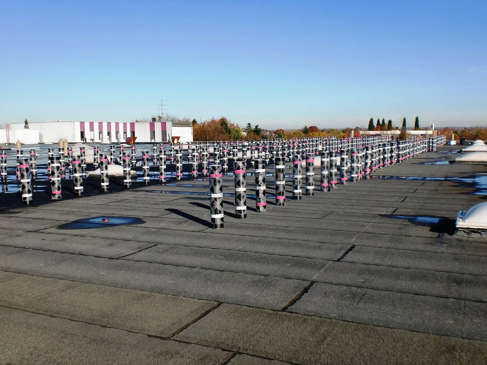 Reihen weiß-roter Stühle auf einer Dachterrasse unter strahlend blauem Himmel