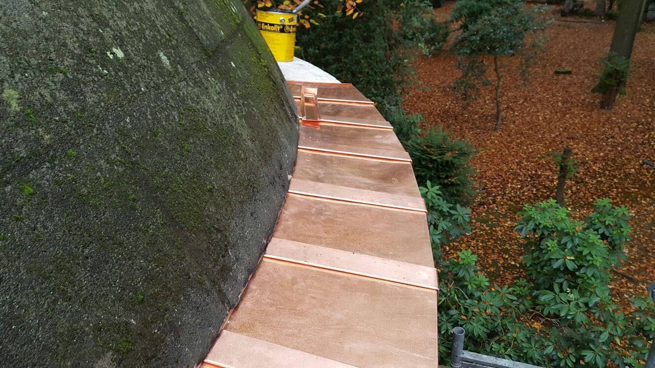Gebogener Holzsteg neben einem großen Baumstamm über einem Waldboden mit grünem Laub