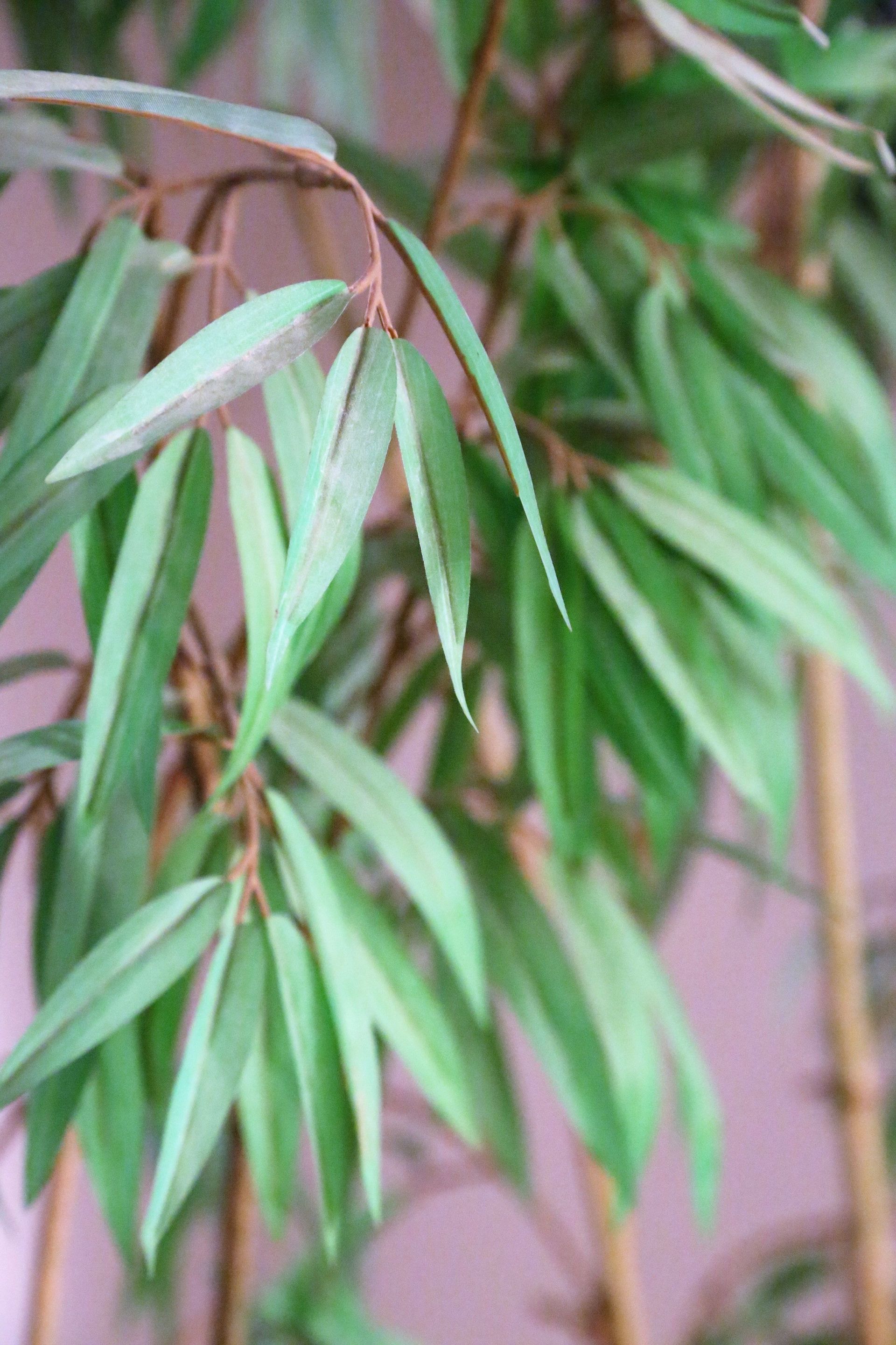 Institut de beauté Orphée - Moudon