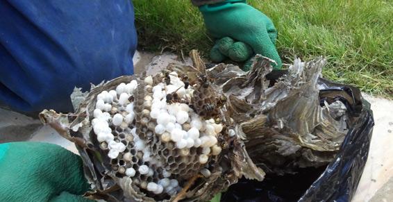 Au Centre De l'Hygiène