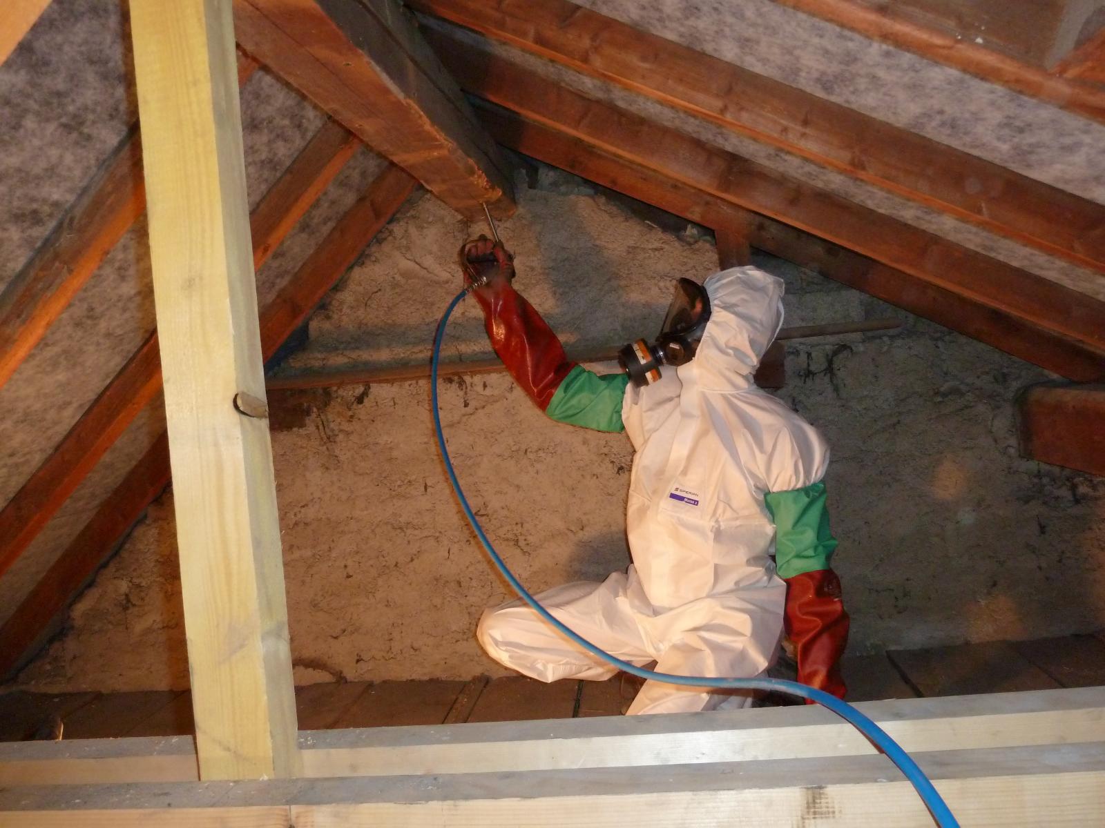 Traitement protection de charpente