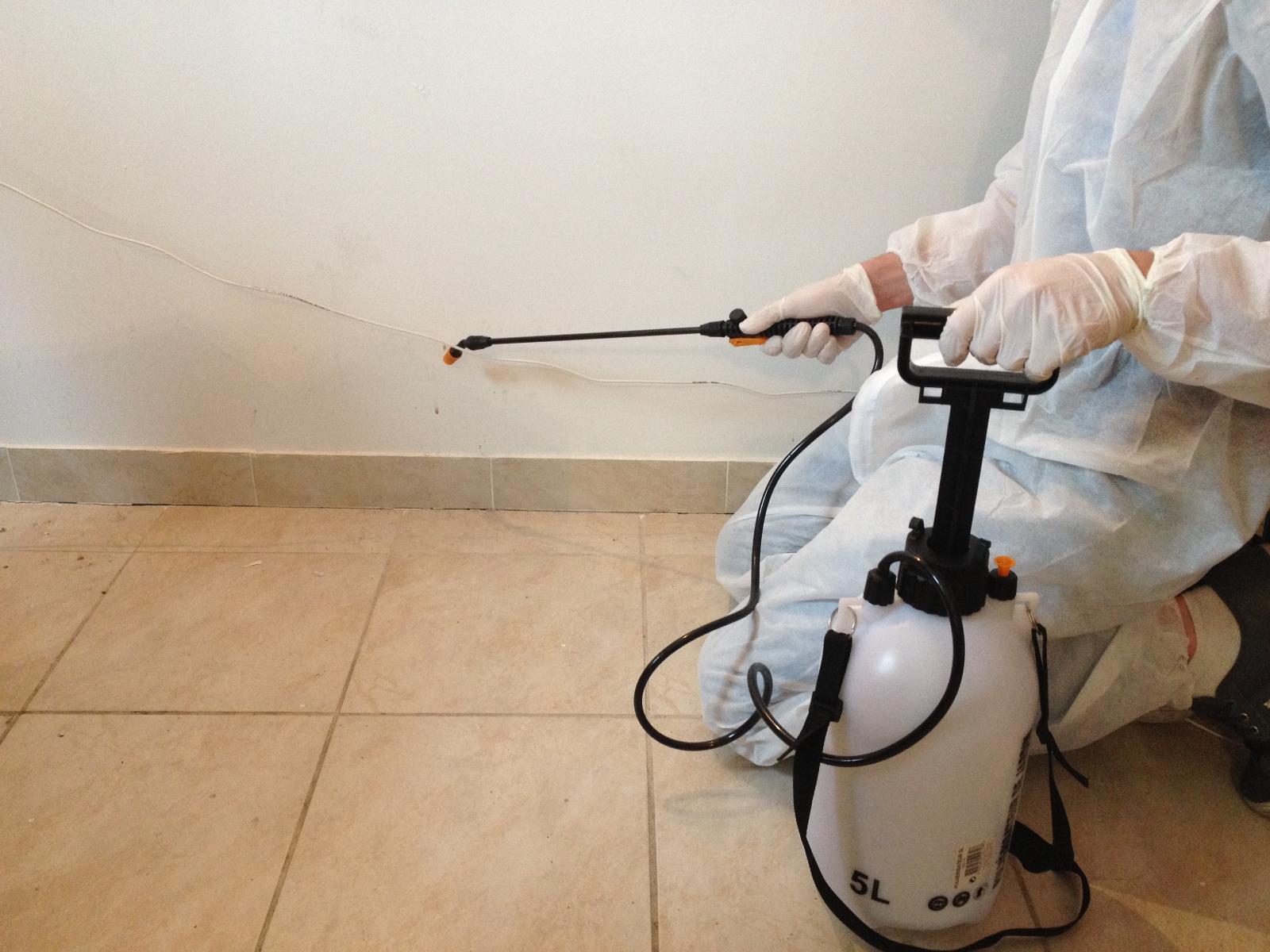 Pulvérisation insecticide