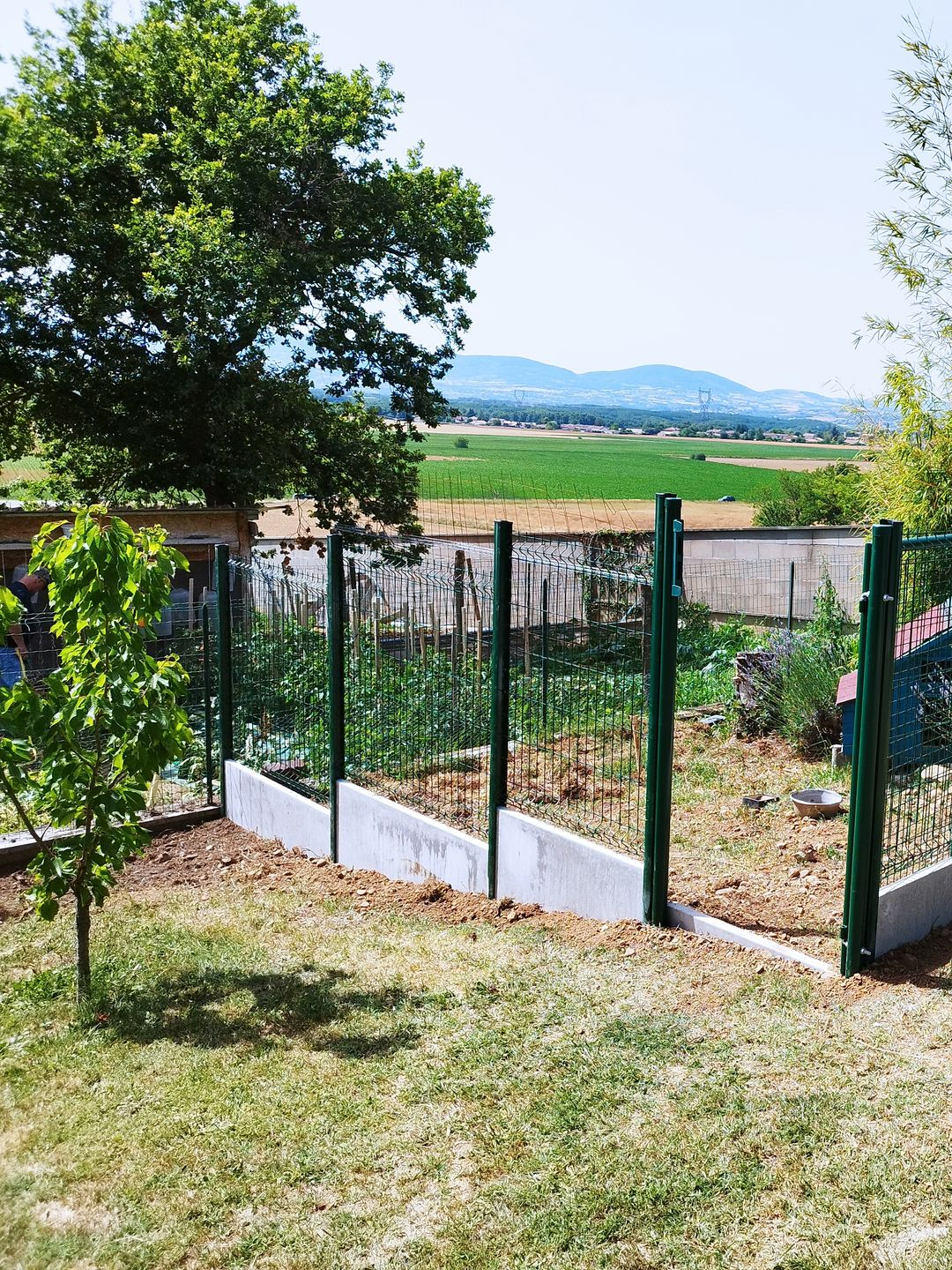 Terrain clôturé avec un soubassement en plaque de béton et un grillage rigide