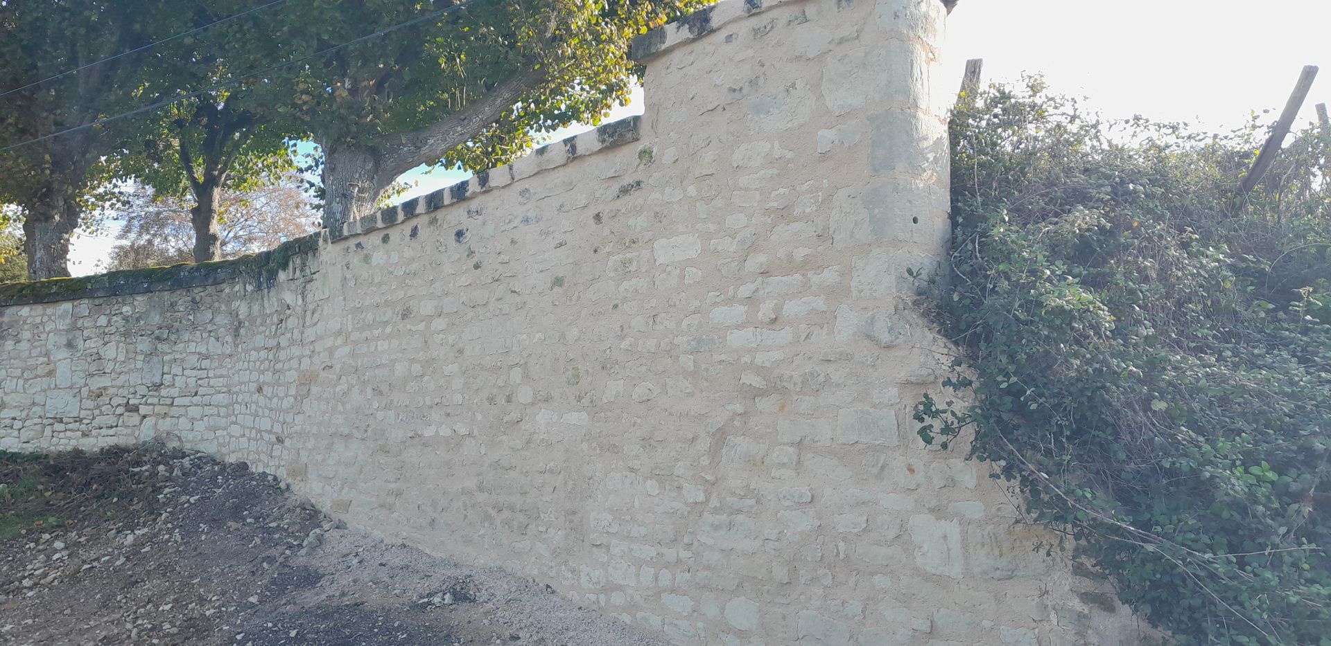 Mur de soutènement en béton en bordure de route, avec des arbres et des buissons sur le bord supérieur.