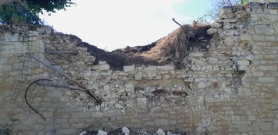Mur de pierre en ruine, partie supérieure effondrée et recouverte de végétation