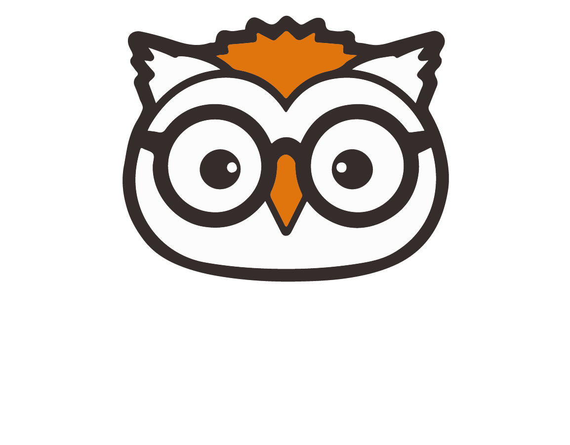 Logo Mister Lunettes