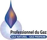 Logo Professionnel du gaz.