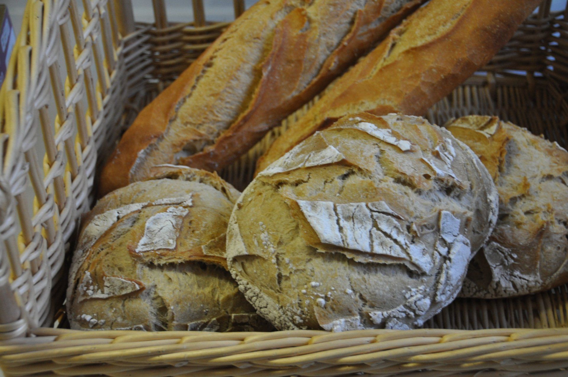 Nos différents pains