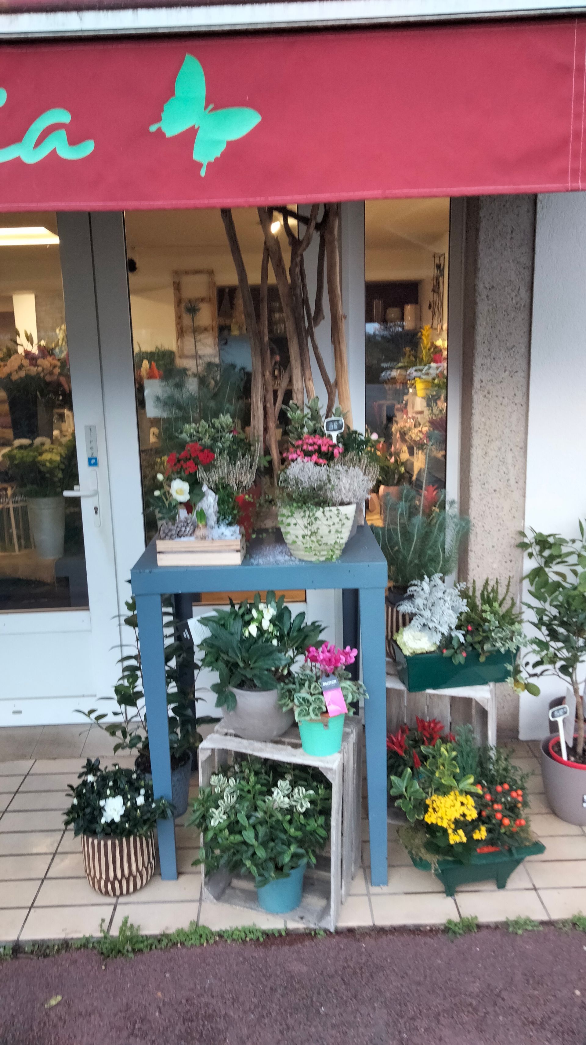 Fleurs exposées devant le magasin
