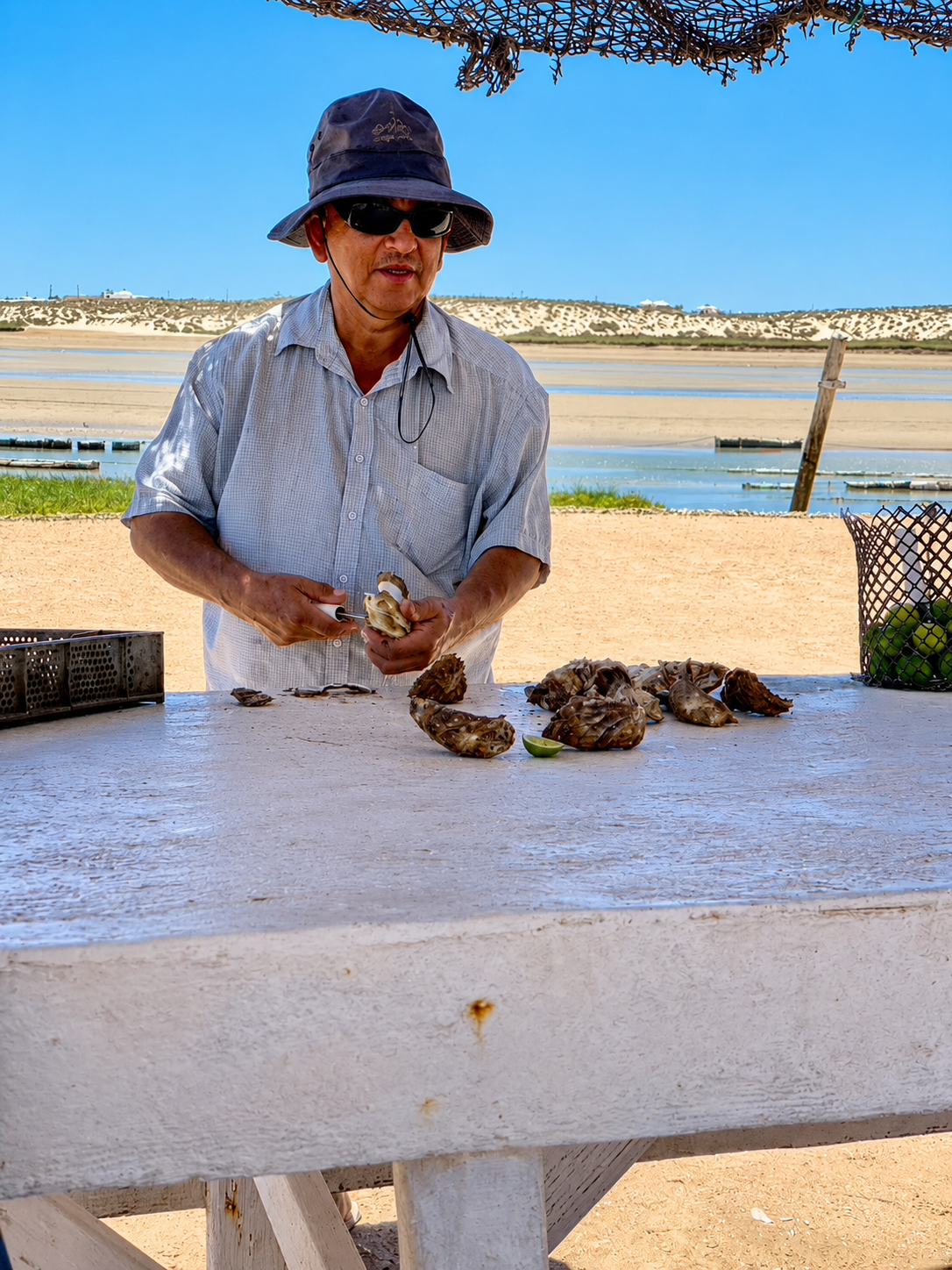 Fresh oysters at an Estero Morúa oyster farm near Las Conchas in Puerto Peñasco