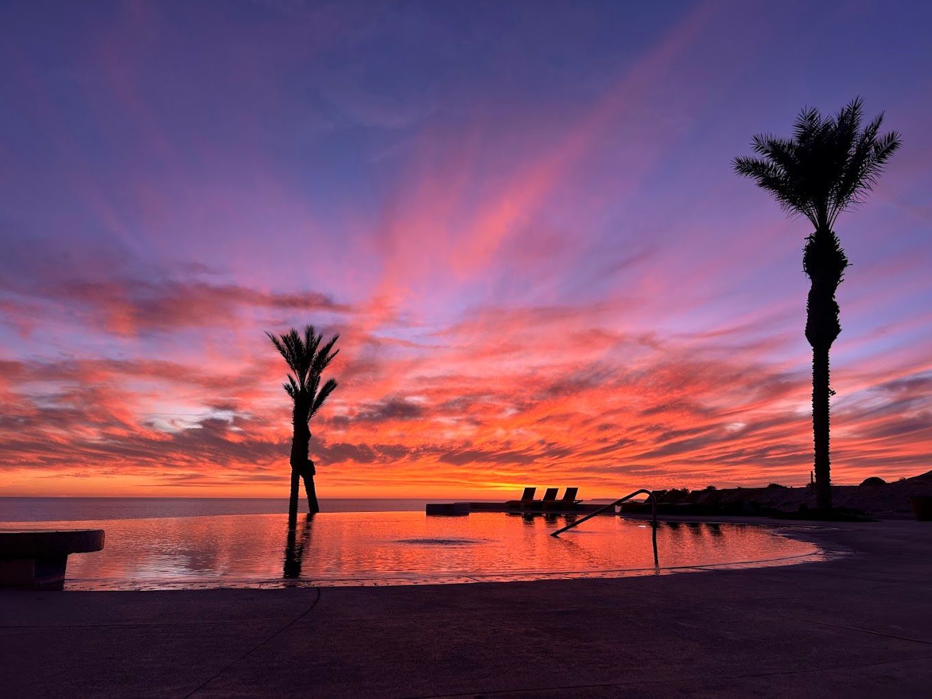 Sunset over calm water with silhouetted palm trees and pink-purple clouds.