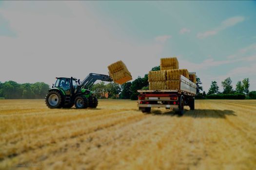 Landmaschinen auf einem Feld