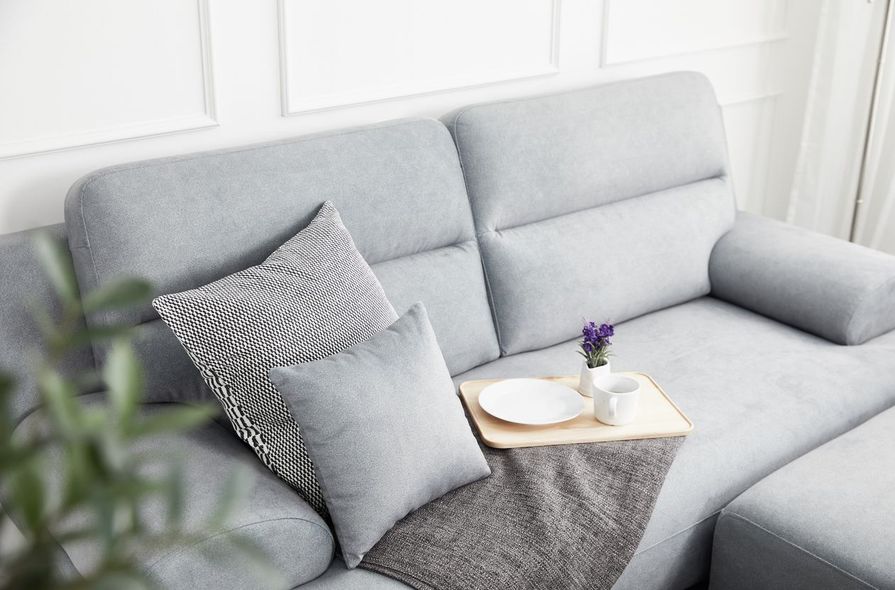 Uma grande palmeira rabo de cavalo em um vaso branco ao lado de um sofá cinza contra uma parede verde-limão.