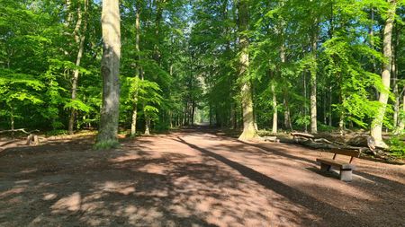 Bestattungszeremonie