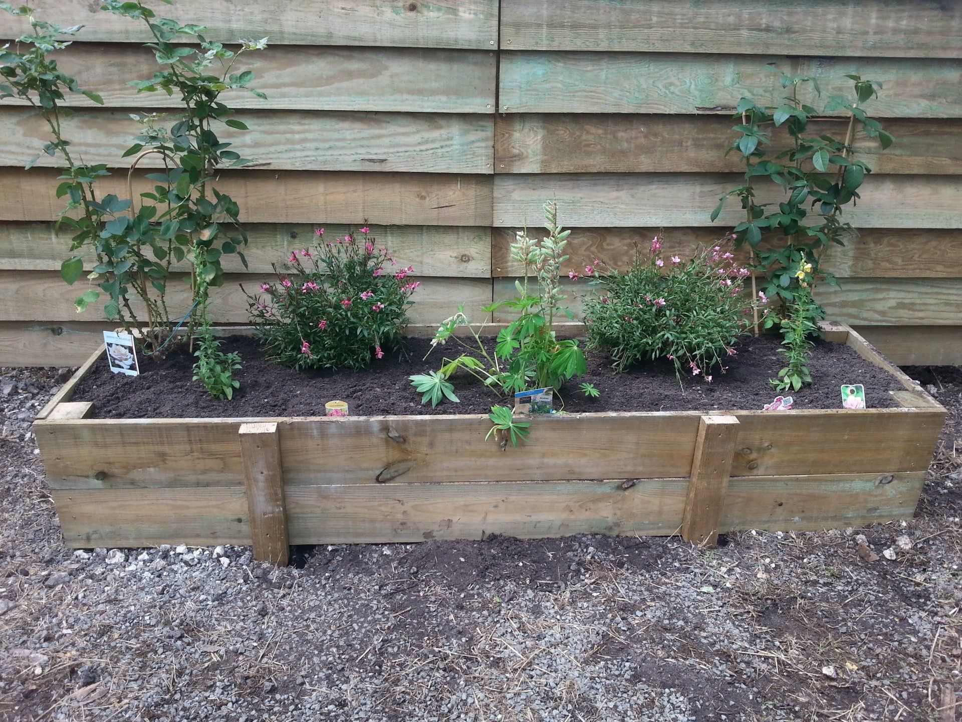 Entretien de jardinière