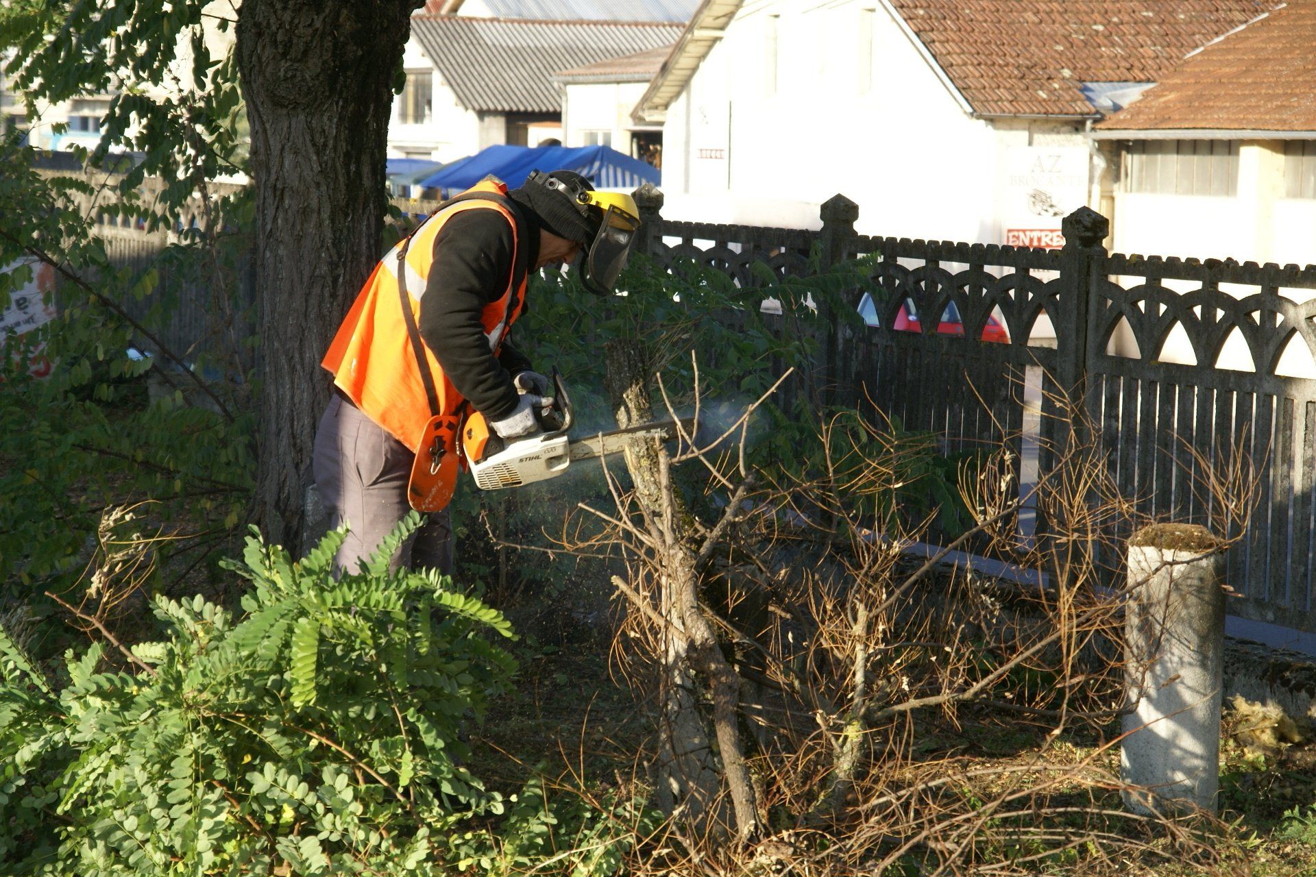 Entretien de parc public