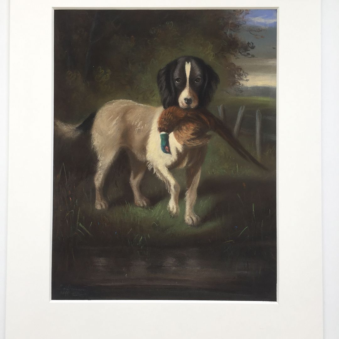 Chien aux marques noires et blanches, tenant un oiseau dans sa gueule, debout près de l'eau et de la verdure.