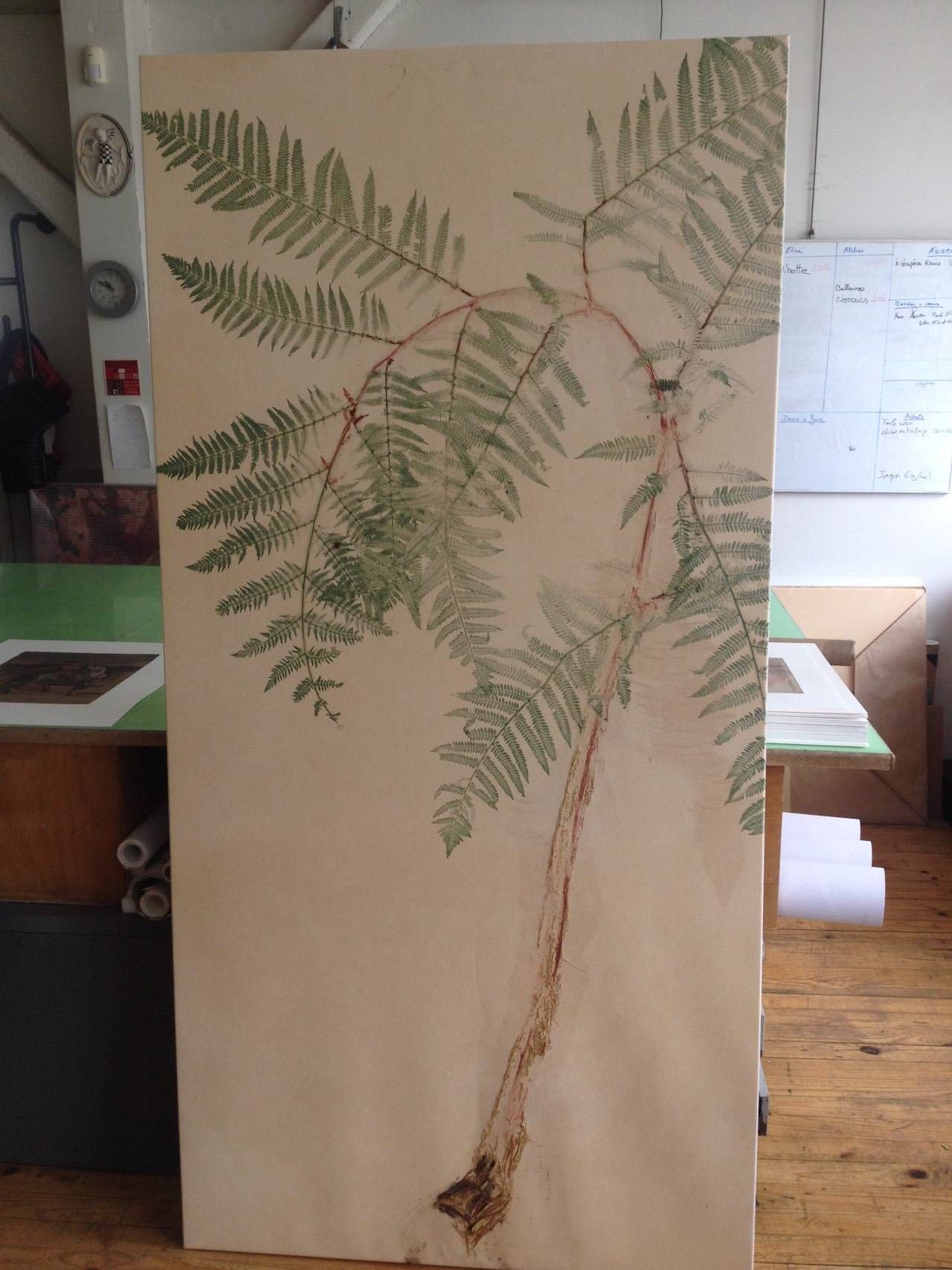 Empreinte de fougère sur papier beige, en atelier. La fougère est verte.