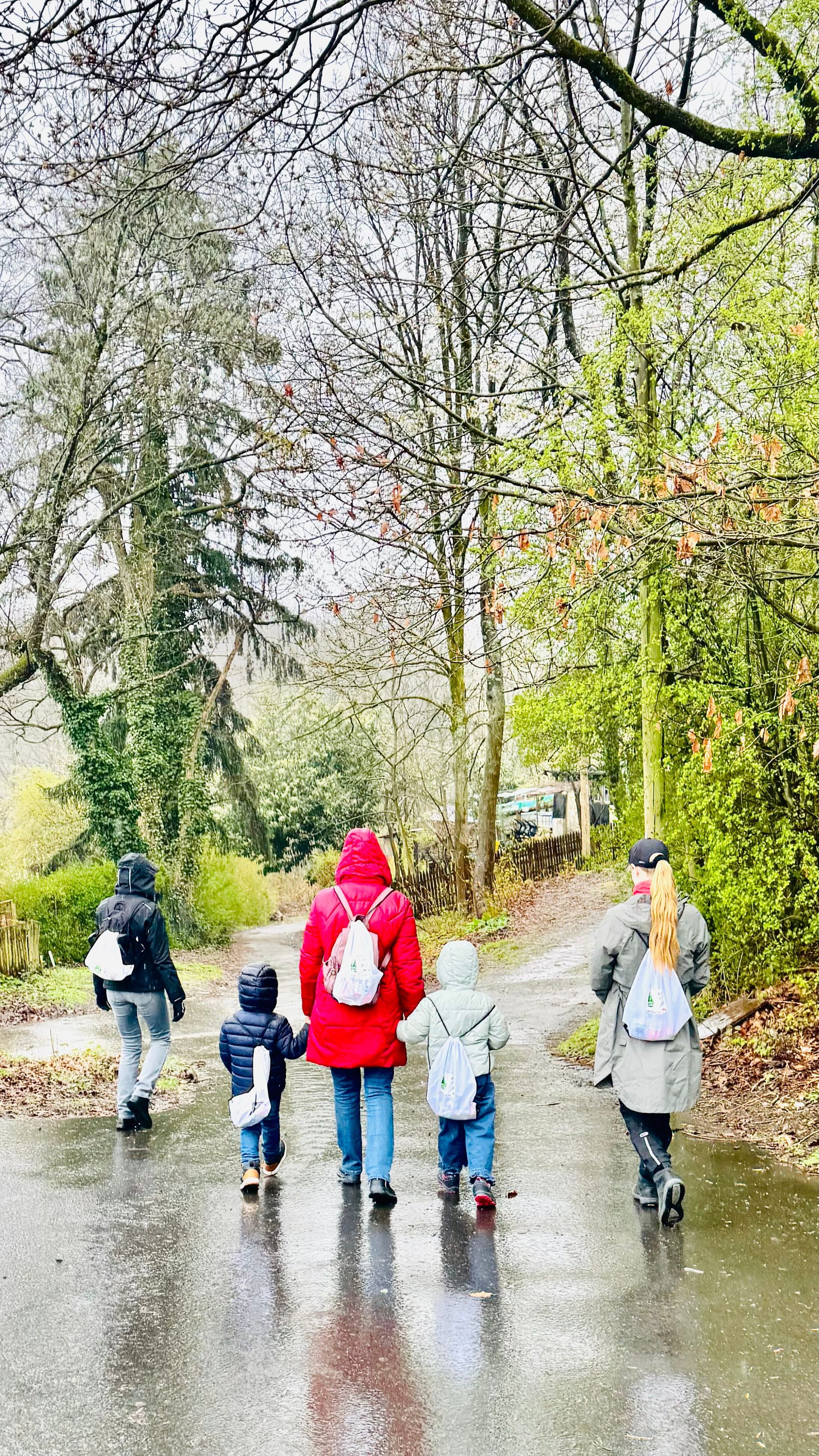 Vier Personen mit Rucksäcken gehen an einem bewölkten Tag auf einem feuchten, von Bäumen gesäumten Parkweg von der Kamera weg.