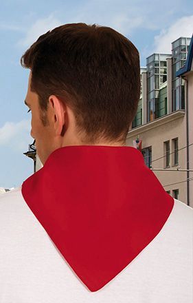 La espalda de un hombre que lleva una bufanda roja alrededor del cuello.