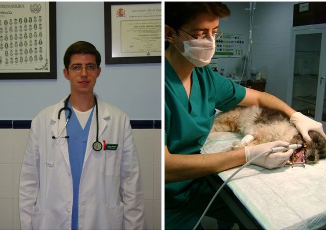 Un hombre con bata de laboratorio está de pie junto a un gato.