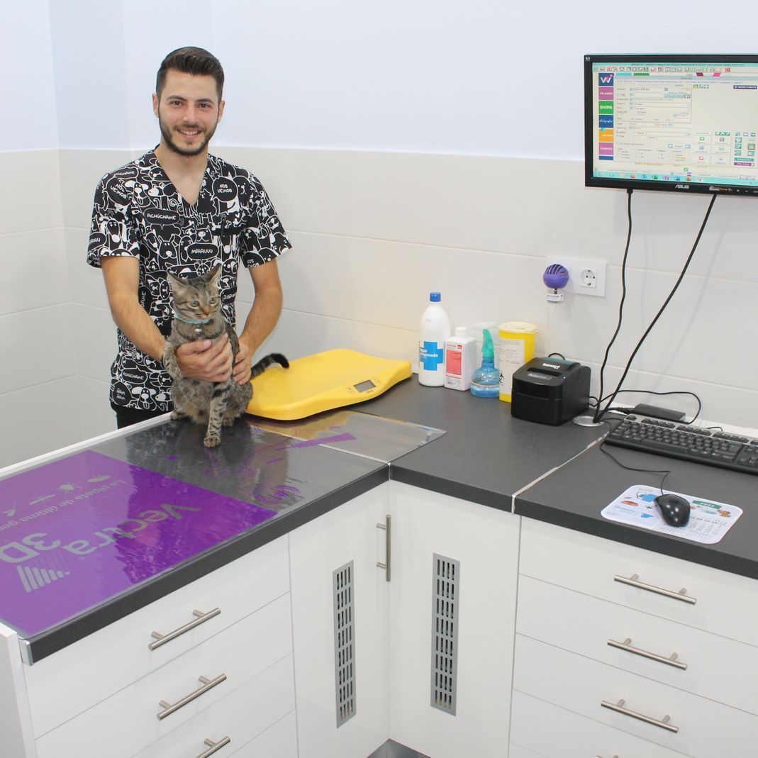 Un hombre sostiene un gato en un consultorio veterinario.