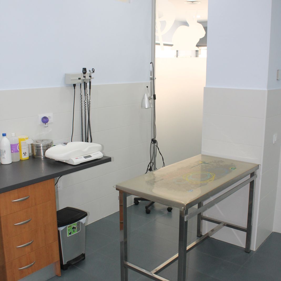 Una mesa de acero inoxidable en un consultorio veterinario.
