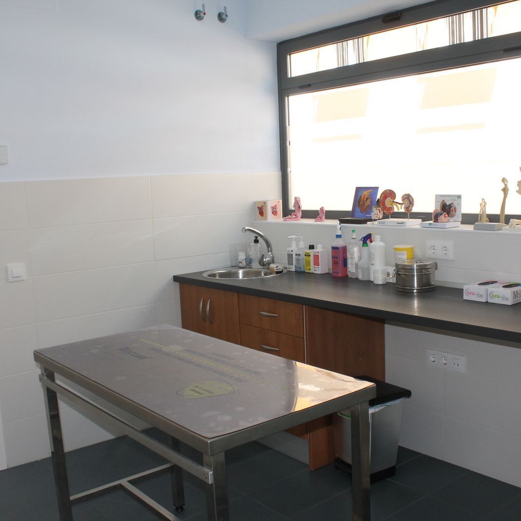 Una cocina con una mesa de acero inoxidable y una ventana.