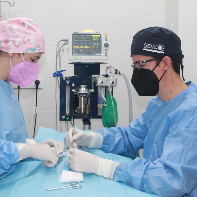 Un cirujano que lleva una máscara está trabajando en un paciente.