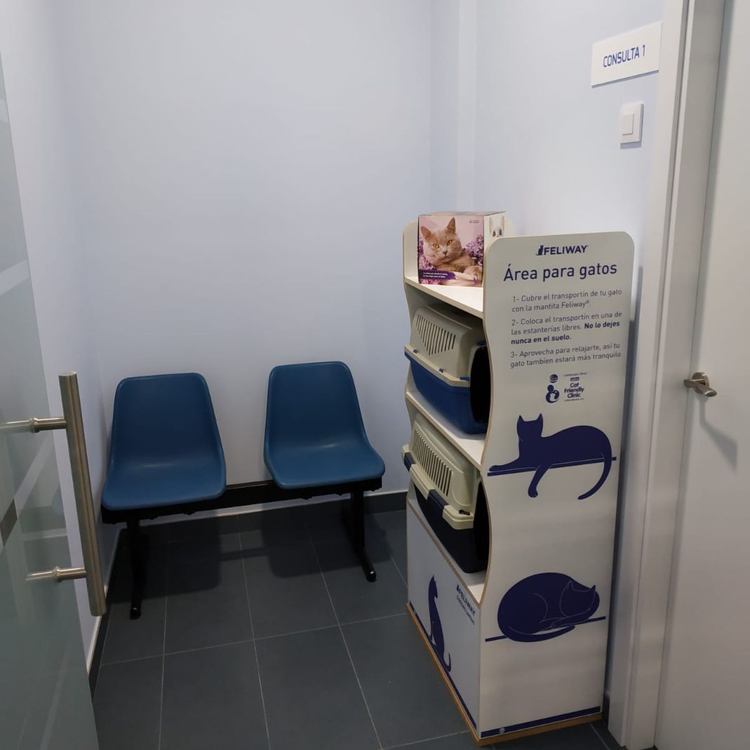 Una sala de espera con dos sillas azules y un cartel que dice Lync.