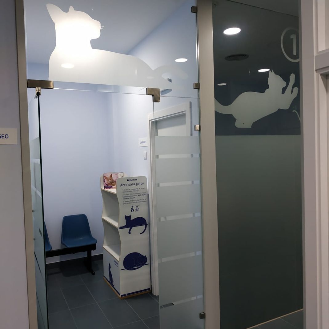 Una puerta de vidrio con un gato y el número 1.