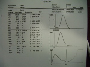Una hoja de papel con números y gráficos