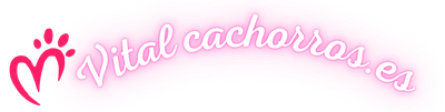 Un logo rosa y blanco para vital cachorros.es