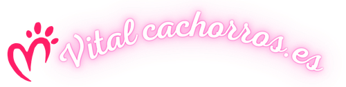 Un logo rosa y blanco para vital cachorros.es