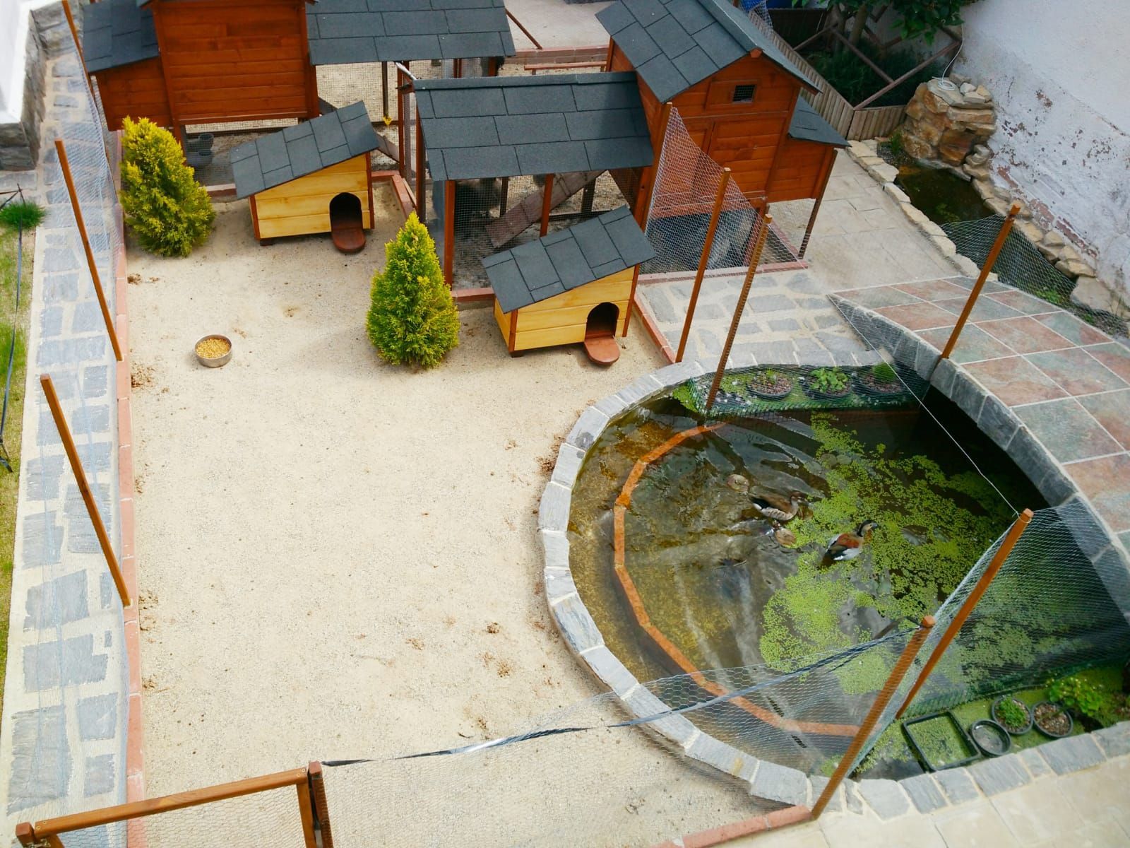 Una vista aérea de un gallinero con un estanque en el medio.