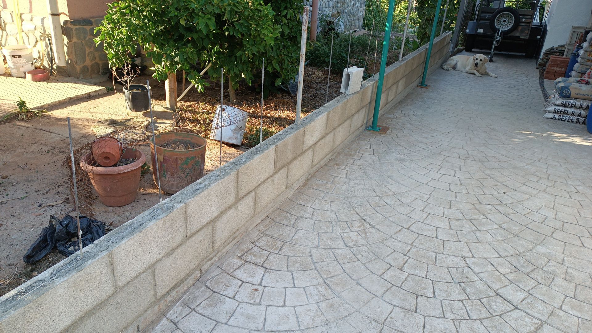 Un perro está acostado en la acera junto a una pared de ladrillos.