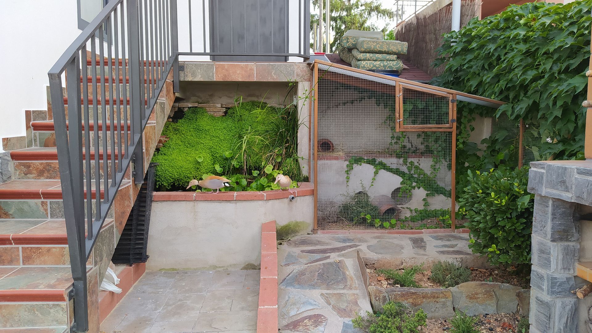 Una escalera que conduce a una casa con una jaula en el patio trasero.