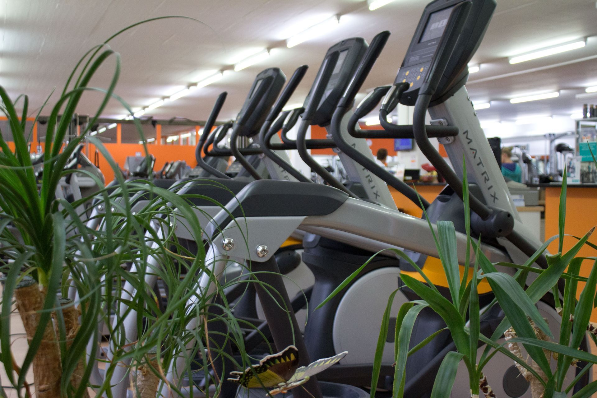 Fitness No Limit - Gruppenkurse