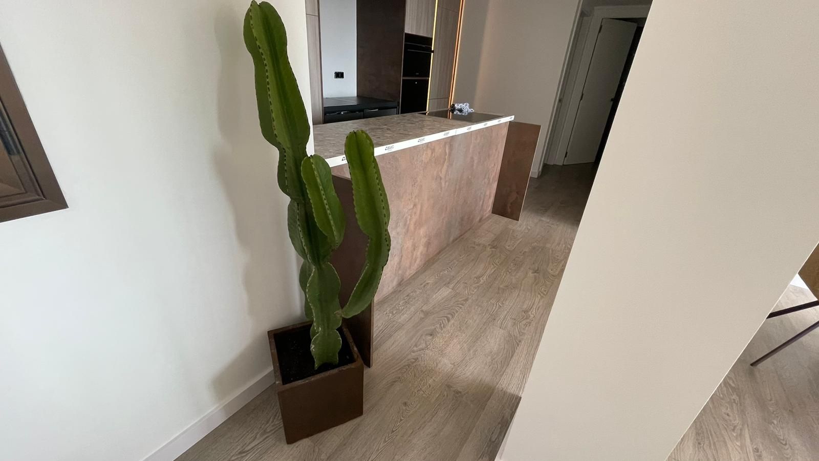 Un cactus verde alto en una maceta marrón junto a una pared marrón claro y blanca