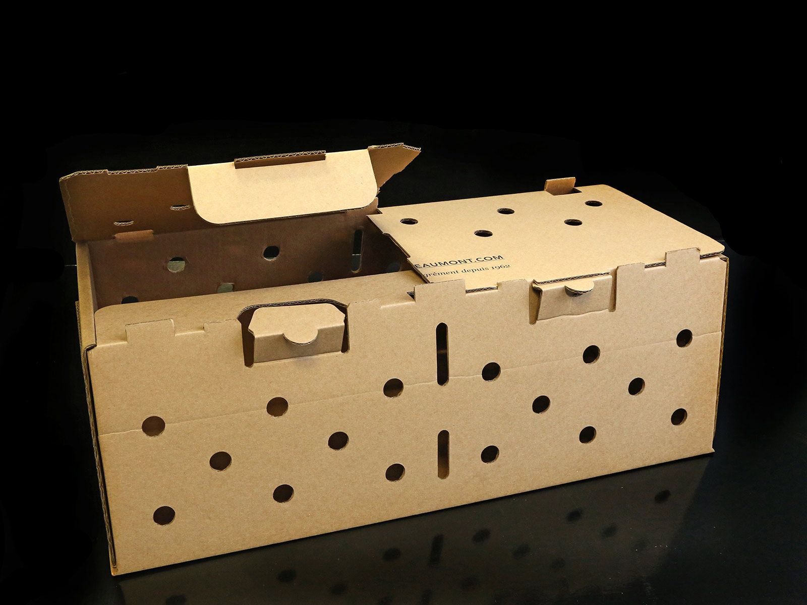 Caisse de transport pour animaux en carton, beige, avec trous d'aération et couvercle à loquet, ouverte sur une surface noire.