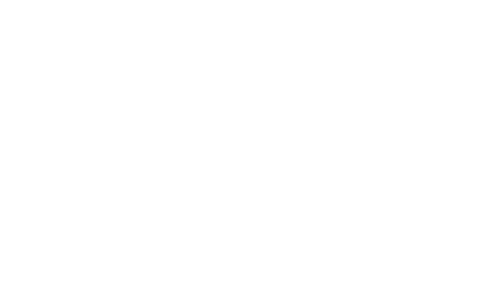 Sanne Ronnes Logo