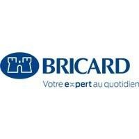 Logo Bricard