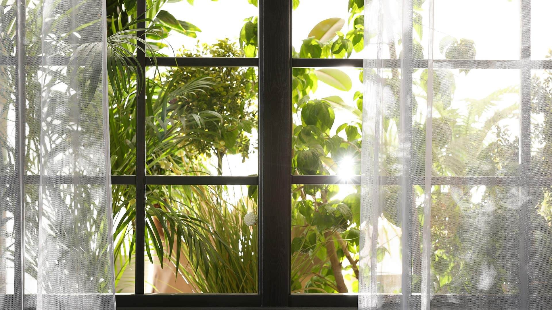 Fenêtre en bois devant jardin luxuriant