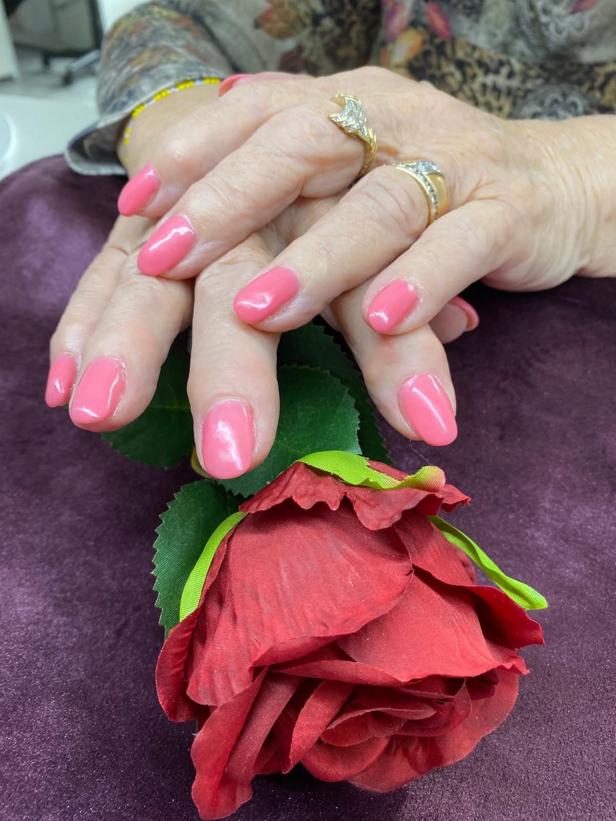 Hände mit rosafarbenen Nägeln ruhen auf einer roten Rose; goldene Ringe an den Fingern.