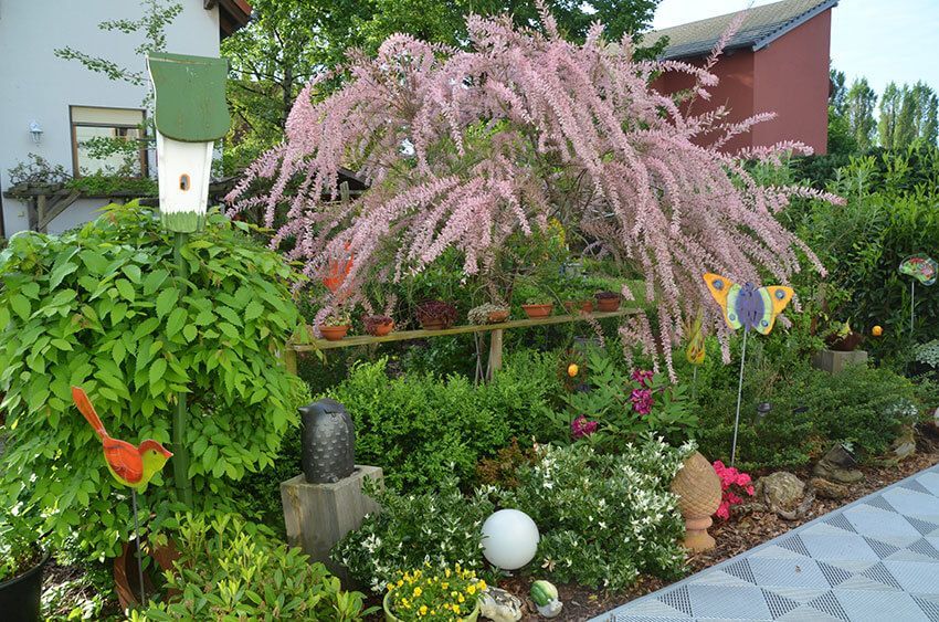 Fe­ri­en­woh­nun­gen Dresden