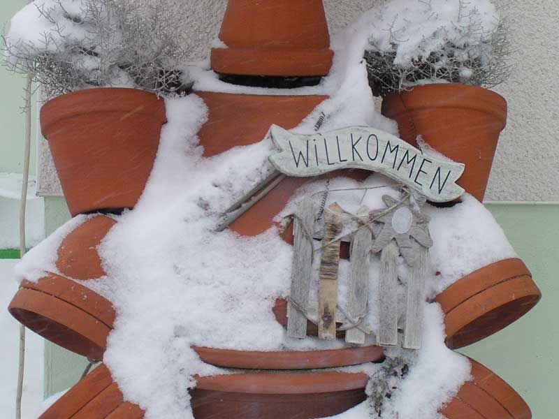 Garten im Winter