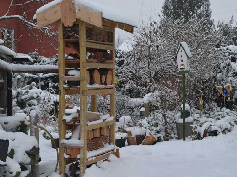 Garten im Winter