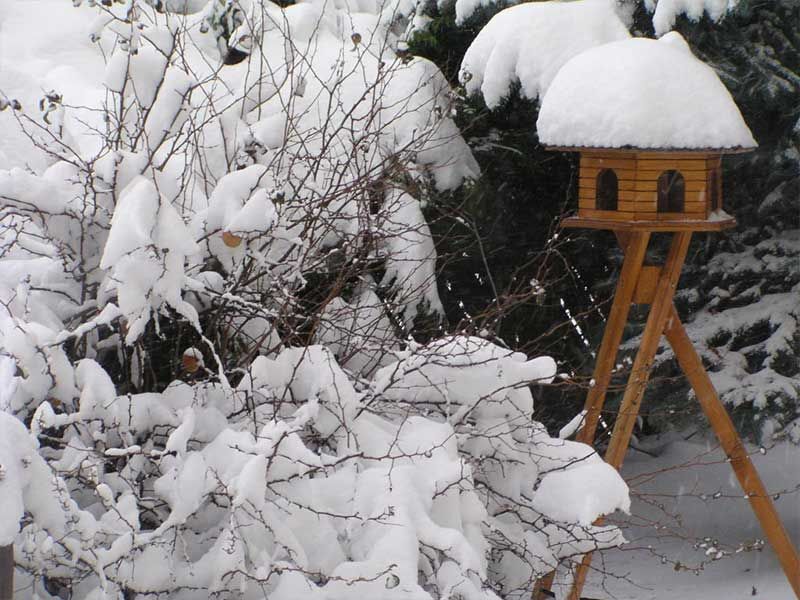 Garten im Winter