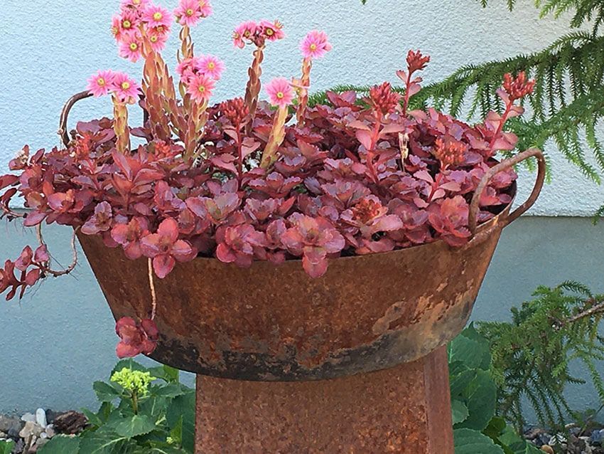 Fe­ri­en­woh­nun­gen Dresden