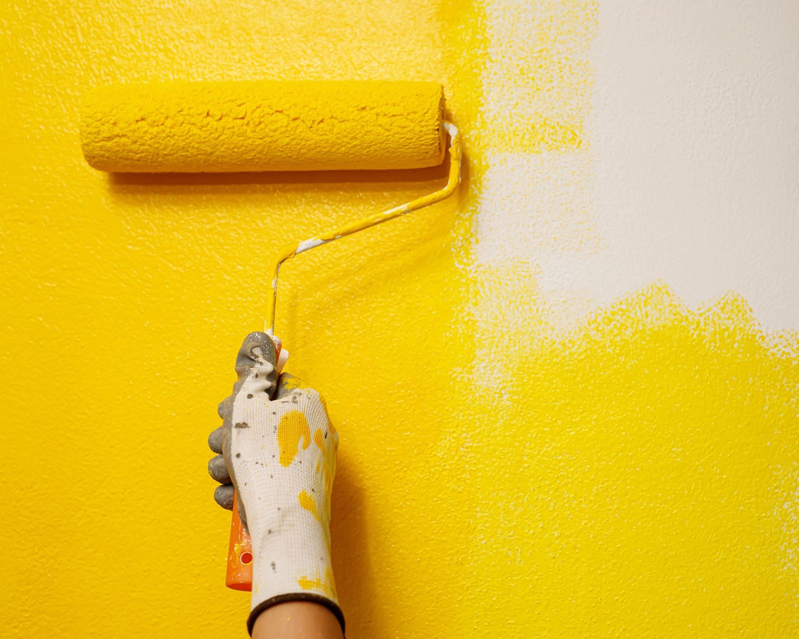 Application d'une peinture jaune canari au rouleau